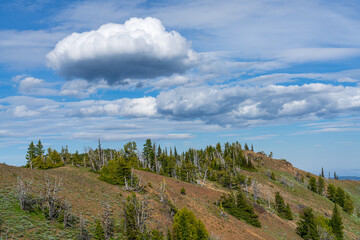 Fototapeta premium Hiking Along The Burnt Mountain Trail, Cascade Mountains, Washington State