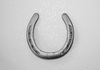 Sparkle horseshoe