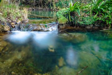 Small creek of water in the forest