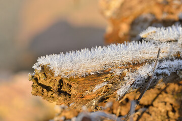 Raureif an einem kalten Morgen