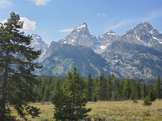 Mountain range and trees in the Tetons