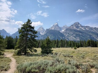 Mountain range and trees in the Tetons