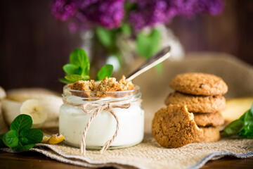 sweet homemade yogurt with fresh bananas and slices of oatmeal cookies