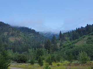 Low clouds and tree covered hills