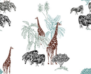 Seamless Pattern Giraffes and Zebras in Safari Africa Nursery Children Design, Wildlife in Palms Engraving Hand Drawn Illustration, Blue and Brown on White Background - 369075217