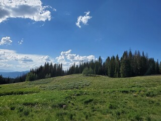 Landscape in the Tetons Valley in Wyoming