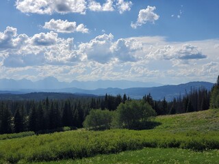 Fototapeta premium Landscape in the Tetons Valley in Wyoming