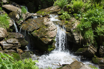 Fototapeta na wymiar Water flowing from rocks among plants