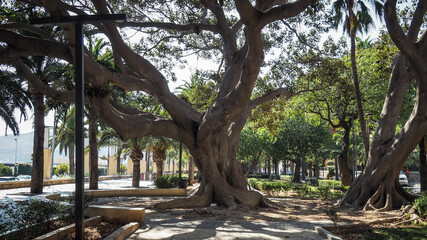 Almeria is a city in Andalusia, Spain, located in the southeast of Spain on the Mediterranean Sea.