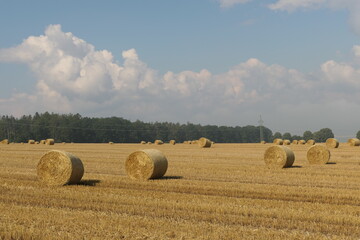 Fototapeta premium Landschaft mit Strohballen nach einer Heuernte im Sommer auf einem Feld