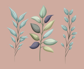 set of green leaves painting design of Floral nature plant garden ornament botany decoration and life theme Vector illustration