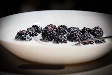 blackberries in the yoghurt in a white plate