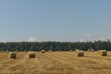 Landschaft mit Strohballen nach einer Heuernte im Sommer auf einem Feld