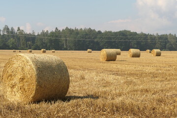 Landschaft mit Strohballen nach einer Heuernte im Sommer auf einem Feld