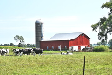 Dairy Farm © StevertS