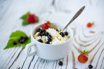 fresh homemade cottage cheese with summer berries