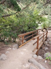 Fototapeta premium bridge, forest, nature, path, wooden, wood, green, landscape, trees, tree, park, grass, walkway, outdoor, trail, water, stairs, pathway, river, garden, hiking, summer, stone, footpath, boardwalk