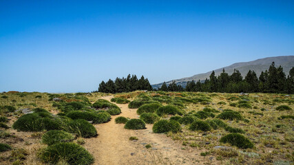 Fototapeta na wymiar Sierra Nevada is a mountain range in the region of Andalucia in Spain.