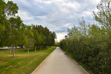 Fototapeta na wymiar Beautiful cycle and walking path in Nicosia, Cyprus on a cloudy day with green trees and grass