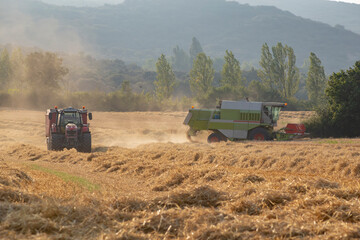 Tractor and a harvesting machine in a wheat field