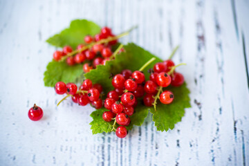 ripe summer berry red currant on a wooden