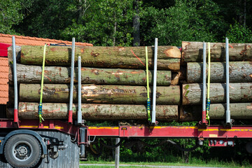 LKW mit Baumst&auml;mmen