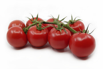 Tomato branch. Tomatoes isolated on a white background. Red tomatoes on a twig on a white background.	
