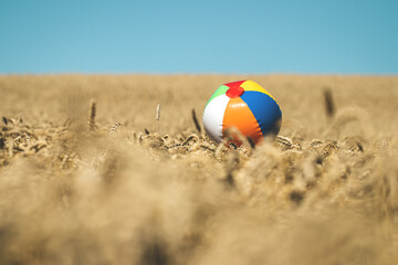 Colorful beach ball in wheat field as symbol for summer holiday. Concept of vacation during coronavirus pandemic and lockdown and travel ban