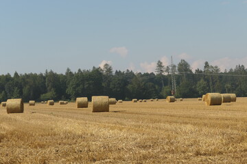 Fototapeta premium Ernte der Strohballen aus Heu und Stroh in einer Landschaft