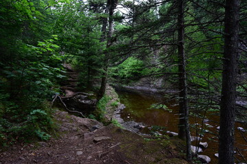 Fototapeta premium Cascade River Falls State Park
