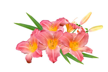 Obraz na płótnie Canvas bouquet of lily flowers isolated on white