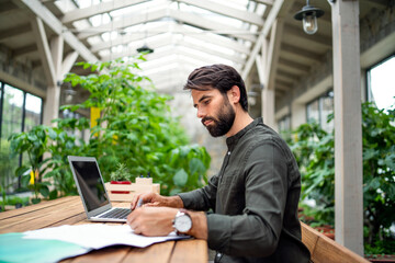 Young man with laptop sitting indoors in green office, working.