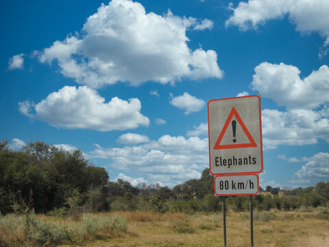 elephants sign