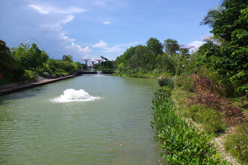Fototapeta na wymiar Gardens by the bay, Singapour 