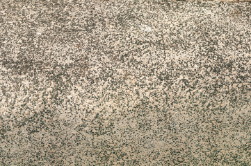 Dirty pavement, floor or stone texture