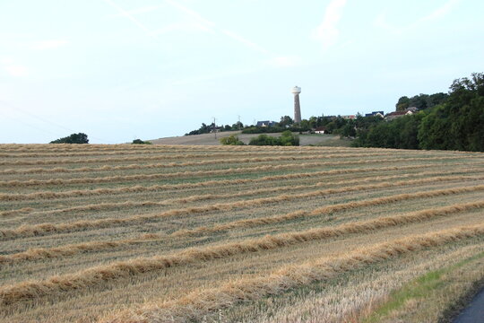Champ de paille le soir