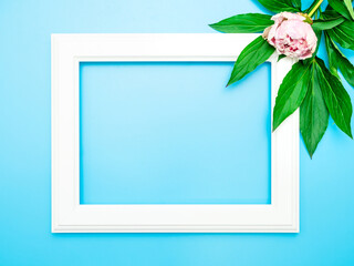 White frame and pink peonies on a blue background, top view, copy space, flat lay, mockup. Minimalist floral frame design for greetings or postcards. Bright greeting concept celebration for women