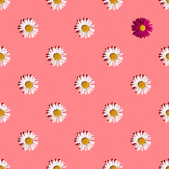 Fototapeta na wymiar White and pink daisies on a pink background with hard shadows, flat flat, top view, seamless texture. Bright seamless summer background for fabric or greeting card. Flower pattern, design