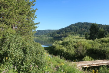 Nature and environment in the Tetons, Wyoming
