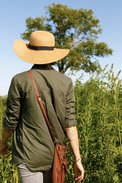Lady going through hemp field
