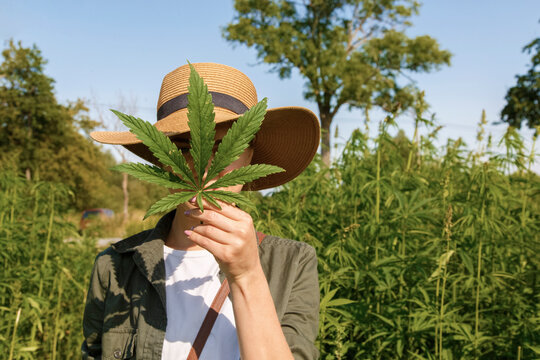 Woman in hat demonstrating leaf of cannabis