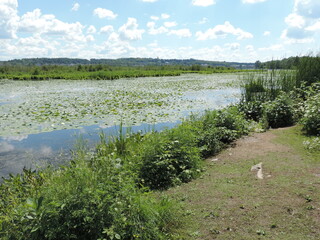 beautée du lac Boivin