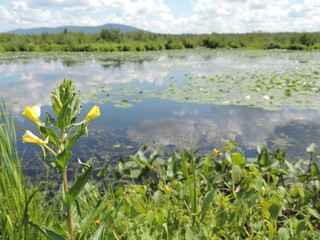 beautée du lac Boivin