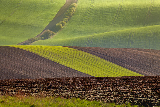 Waves of agricultural farmlands.
