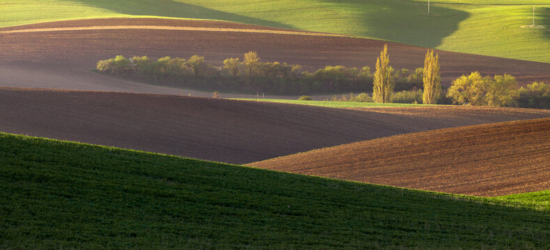 Panoramic Moravia landscape at sunrise.