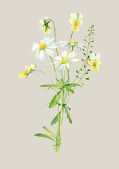 Bouquet of watercolor wild violets and daisies . For congratulations, invitations, weddings, birthday, anniversary
