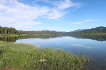 Reflective water in a lake