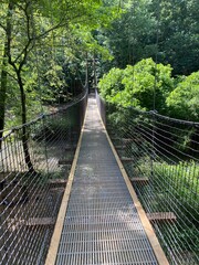 Obraz premium most w przyrodzie