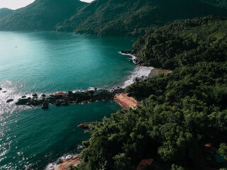 Fototapeta premium MANSA/GATO/VERMELHA