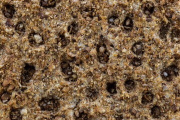 Rye Crispbread Close Up View for Background